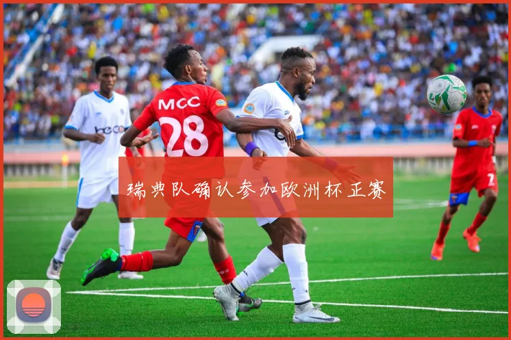 瑞典队确认参加欧洲杯正赛