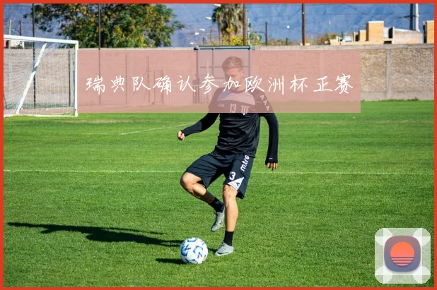 瑞典队确认参加欧洲杯正赛