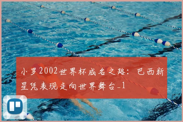 小罗2002世界杯成名之路：巴西新星凭表现走向世界舞台_1